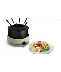 FONDUE COCOON 6P TH.RGL 800W TEFAL - kashkazi976.yt
