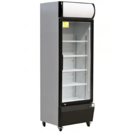 VITRINE BOISSONS 370L 1 PORTE EVERSTEEL - Vitrine boissons professionnelle - kashkazi976.yt